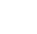 Roaming Lizard